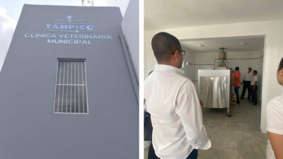 Tampico tendrá un crematorio para mascotas; alistan inauguración