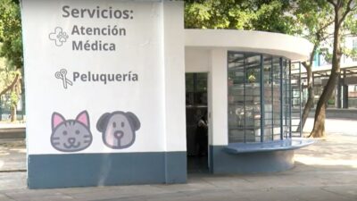 Clinica veterinaria que ofrece servicio gratutito en la colonia Roma, en la CDMX
