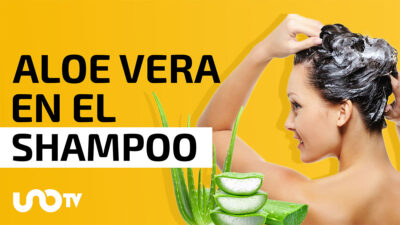 Qué beneficios tiene el aloe vera en el shampoo