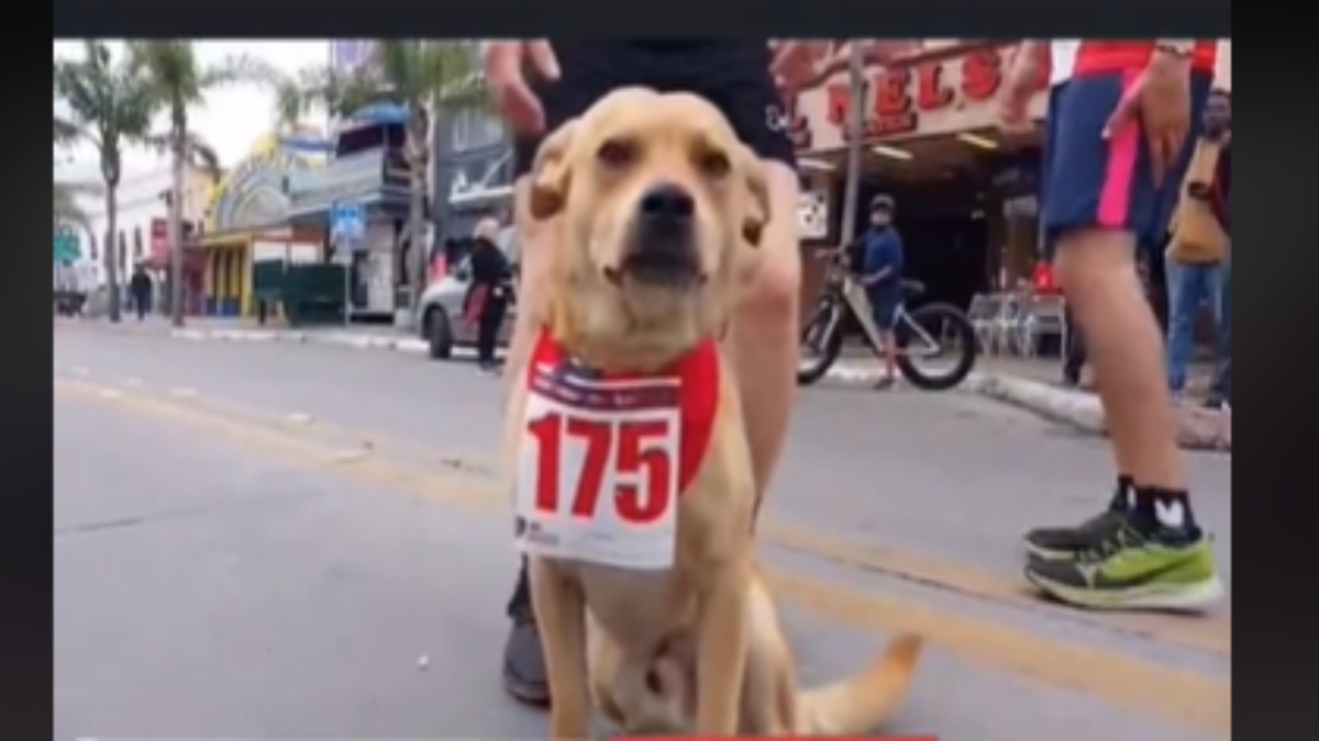 “Chicles” es registrado y corre en nuevo maratón en Tijuana