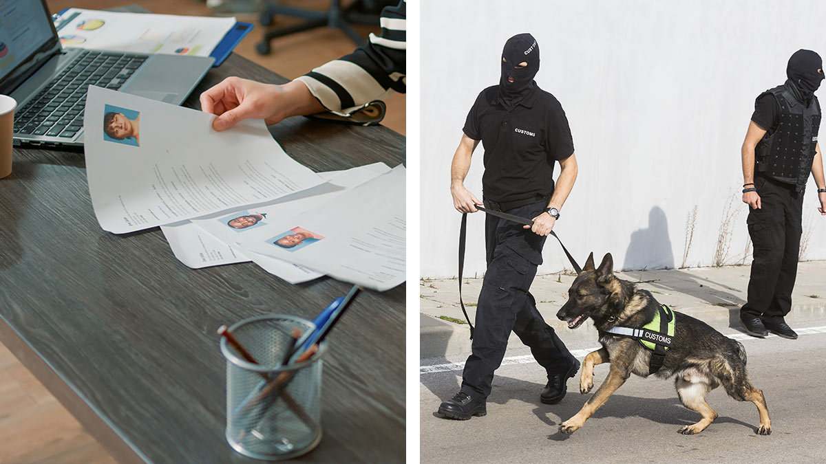 Agente DEA: Persona leyendo curriculums en un escritorio y foto de binomio canino antidrogas de EU