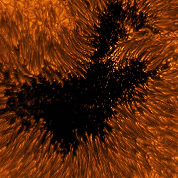Las fotos más detalladas del Sol nunca antes vistas son tomadas por el telescopio solar más poderoso de la Tierra