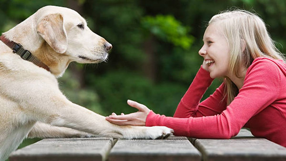 Hablar con tu mascota podría ser posible con ayuda de IA