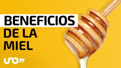 Los beneficios de la miel para el cuerpo