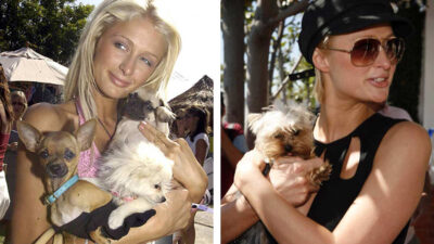 Paris Hilton: muere su icónica perra chihuahua a los 23 años
