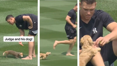 El tierno video de Aaron Judge jugando con su perro salchicha en el Yankee Stadium