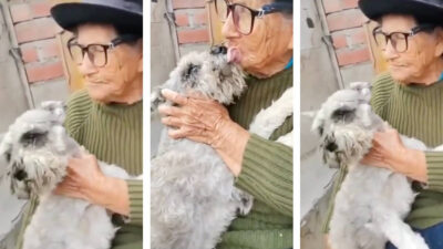 Abuelita de 103 años se reencuentra con su perro que creía perdido