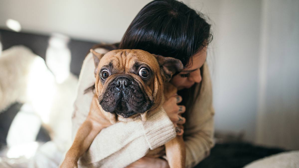 ¿Por qué amas más a tu perro que a las personas?