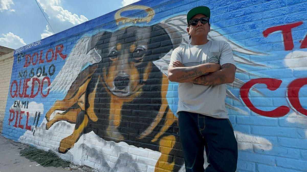 Hacen Mural De Scooby Perrito Que Fue Asesinado En Tecamac