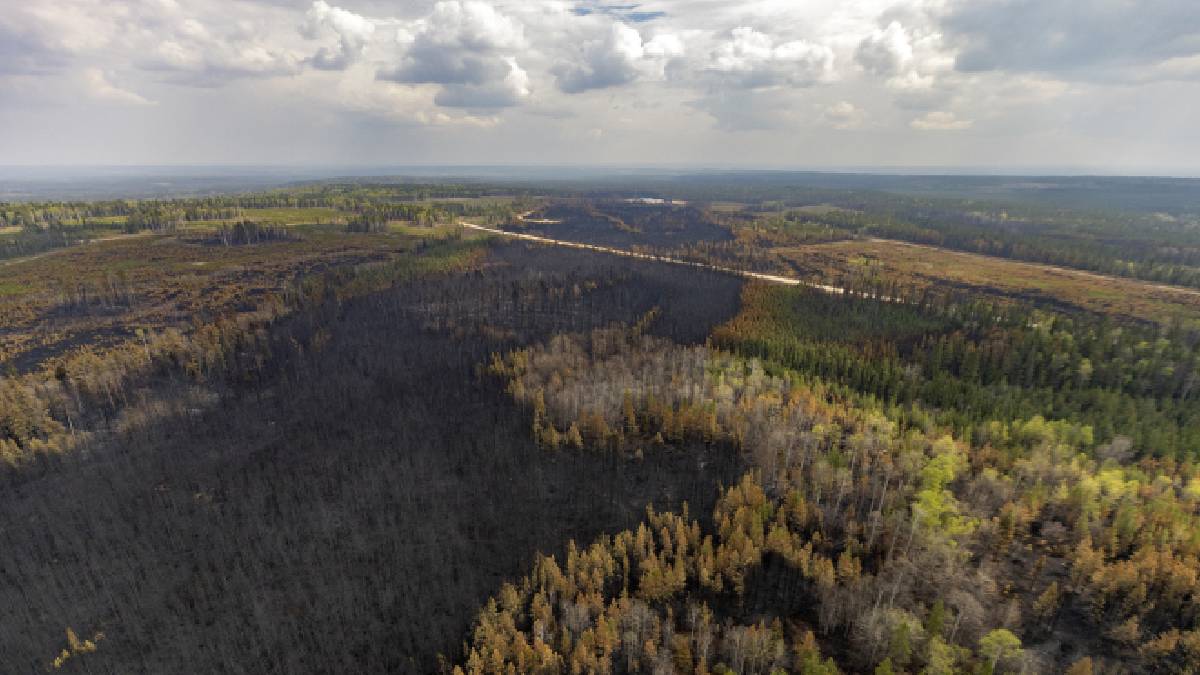 incendio forestal en Quebec