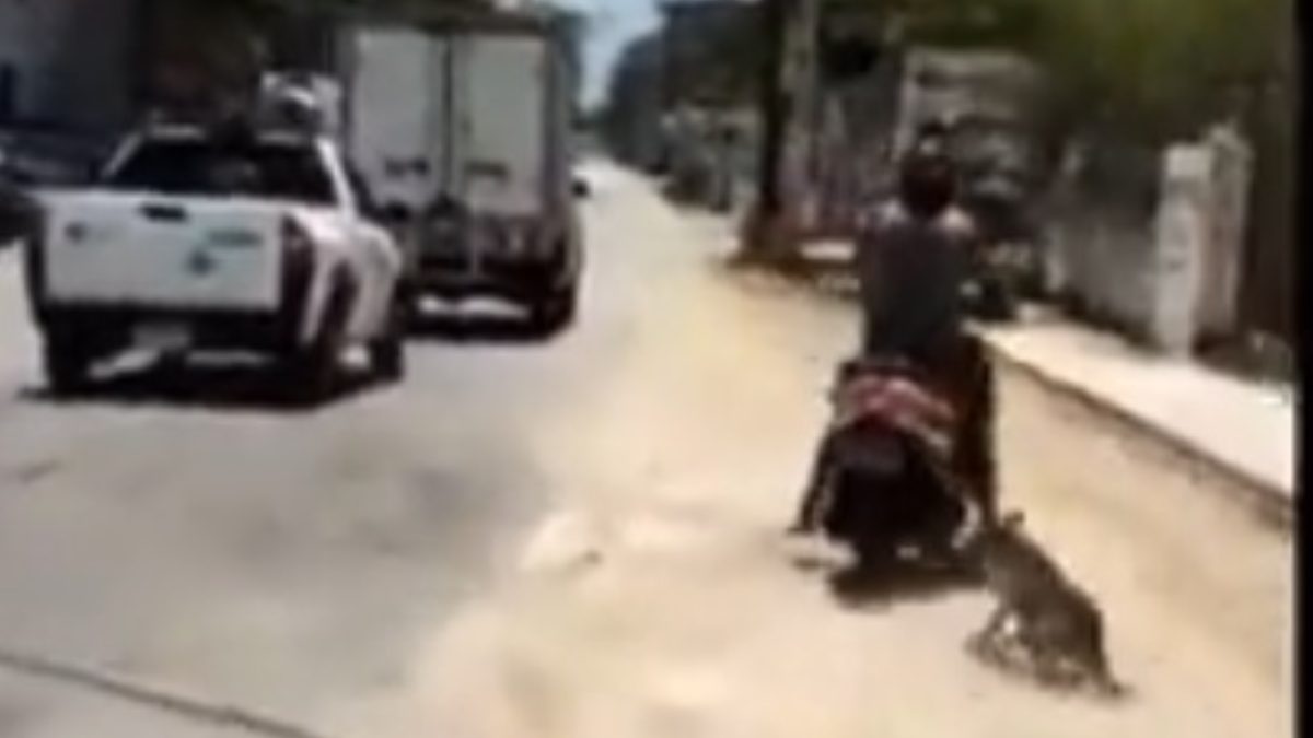 Motociclista arrastrando a un perro por calles de Yucatán