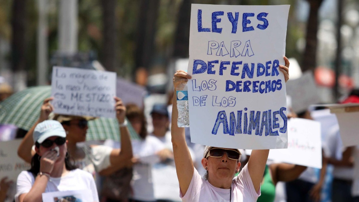 Marcha contra maltrato animal en CDMX; fecha y ruta